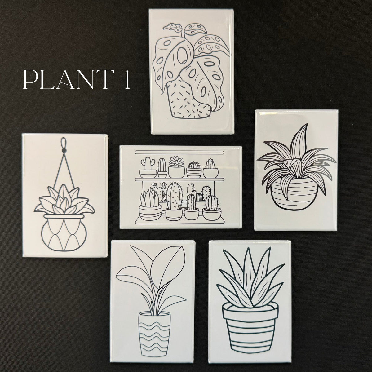 Plants Dry Erase Coloring Magnets - 2x3 Rectangles (Set of 6)